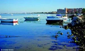 Djerba : l’île des douceurs méditerranéennes et du soleil saharien